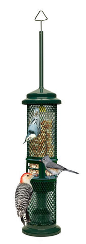 Squirrel Buster Peanut