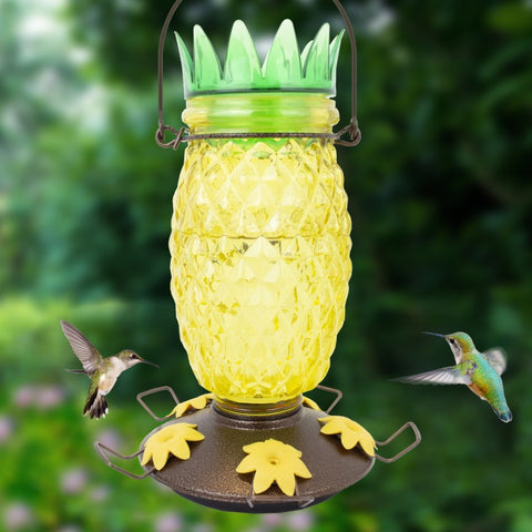 Pineapple Hummingbird Feeder