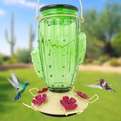 Cactus Top Fill Glass Hummingbird Feeder