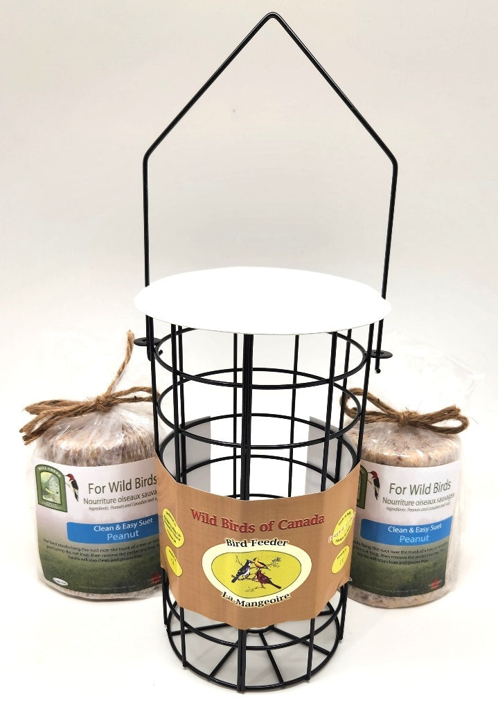 Cylinder and Suet Log Feeder ibirdcanada