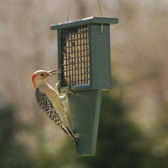 Recycled Suet w Tail Prop