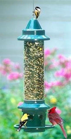 Squirrel Buster Plus