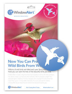 Window Alert Decal -Hummingbird