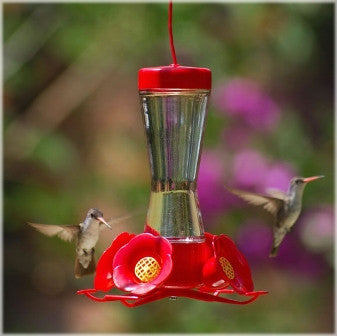 Hummingbird Feeders & Accessories