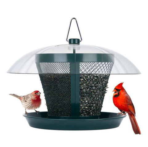 Domed Mesh Feeder-Duel Use