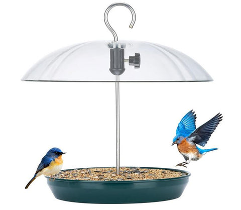 Dome Top Feeder-Green