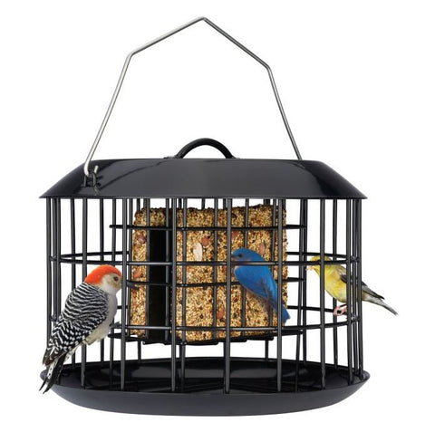 Caged Suet Feeder-Black