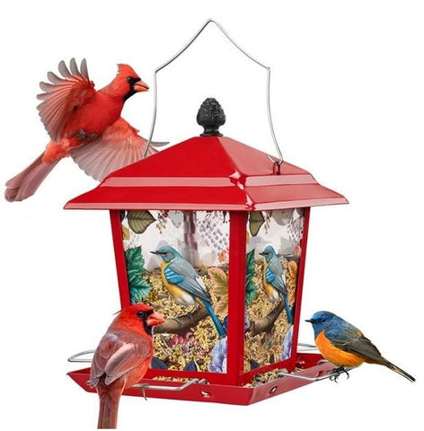 Red Lantern w/ Bird Motif