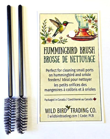 Hummingbird Little Brushes