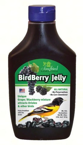 Birdberry / Grape Jelly 20 oz