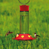 30 oz. Glass Hummingbird Fdr.