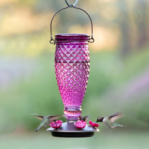 Purple Diamond top Fill Hummingbird Feeder