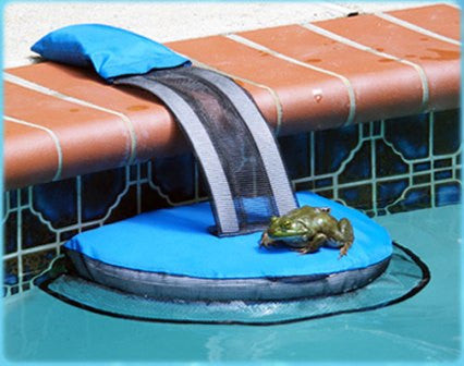 Frog Log Pool Safety for Animals